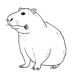 Black and white contour image of the capybara. Capybara with flower