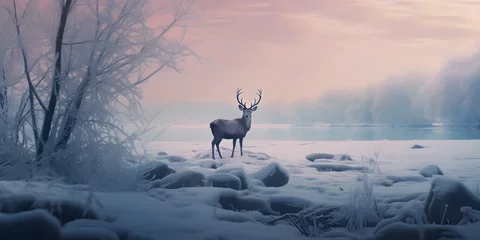 Fototapeten deer in the snow at sunset © sam