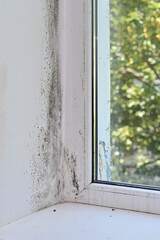 Black mold in the corner near the window.