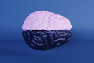 3d render of a brain with dark and white cerebral hemisphere. Concept for neuroscience and bipolar disorder in neurology treatment by psychiatrist
