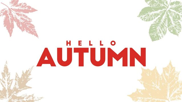 Hello Autumn 2d animation. Flying fallen leaves. Typographic Animated Design