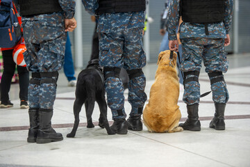 solder and k9 dog in the airport