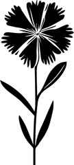 Caryophyllaceae icon