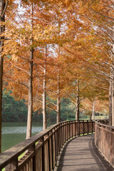 Gijang Yongso Well-being Park autumn scenery in Busan, Korea