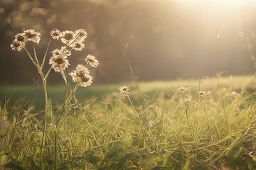 grass with flower petalsgrass with flower petalsbeautiful botanical shot, natural wallpaper