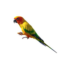 Parrot eats nuts isolated on transparent background