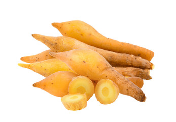 Finger root on transparent png