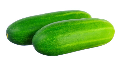 Fresh cucumber isolated on white isolated background