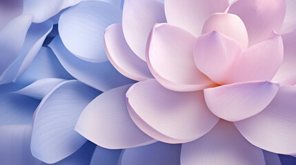 Closeup on lotus petal. Floral abstract background
