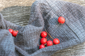 Hawthorn: A Global Story of Resilient Trees and Shrubs. (selective focus)