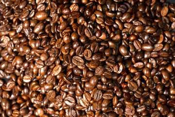 Close-up view of coffee beans