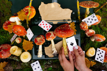 Magic actions with fly agarics and cards