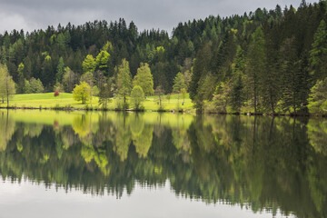 Fototapeta premium nature landscape with trees and meadow with reflection in a lake