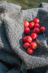 Hawthorn: A Global Story of Resilient Trees and Shrubs. (selective focus)