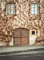 Facade of an old european house with wooden door. Ivy covered wall of beige building in small town.