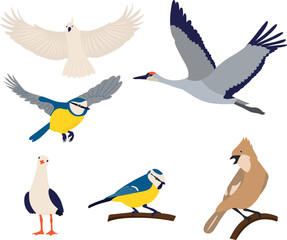 set of birds in flat style on white background vector
