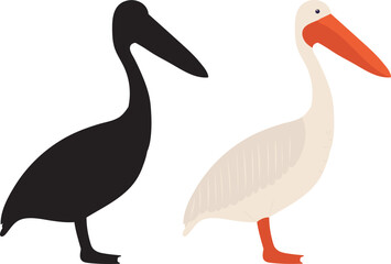 pelican on white background vector