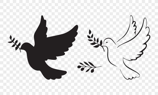 Pigeon SVG silhouette. Dove svg.  Dove Silhouette Bird Silhouette. File For Cricut