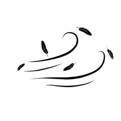 feathers blowing in the wind