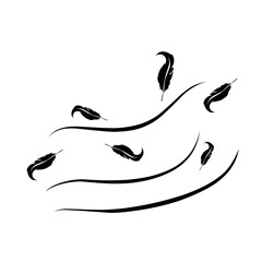 feathers blowing in the wind