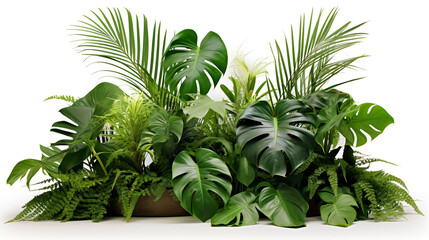 Green tropical plants on a white background, composition. Generative Ai