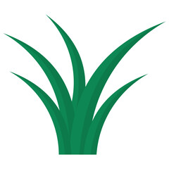 Green Grass Over White Background.