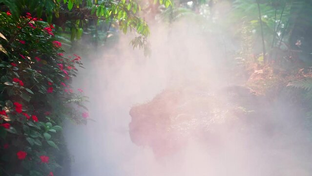 Mist shrouding tropical jungle stream with lush foliage and flowers.