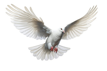 Side view of isolated white dove hooting in action on a cutout PNG transparent background