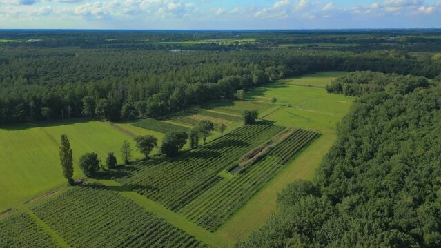 Meditative European aerial of orchard on the border of Belgium and the Netherlands