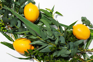 Happy Sukkot festival, a happy Jewish holiday