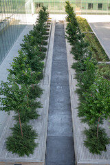 Architettura. Città ecologicamente sostenibile. Piante e verde in strtuttura urbana.