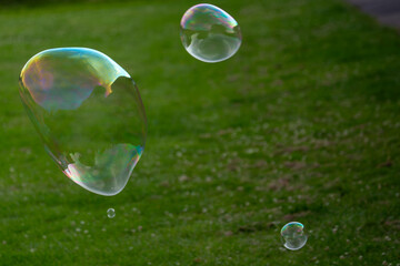 Bubbles floating in the breeze