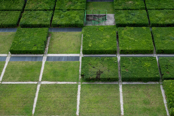 Parco verde con erba e alberi ripreso dall'alto. Geometria, geometrico verde a quadrati.