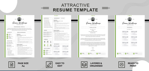 professional resume template 2024