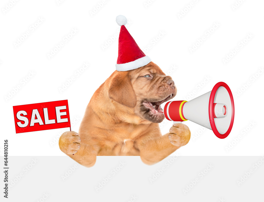 Poster funny puppy wearing santa hat screams into a megaphone above empty white banner and shows signboard 
