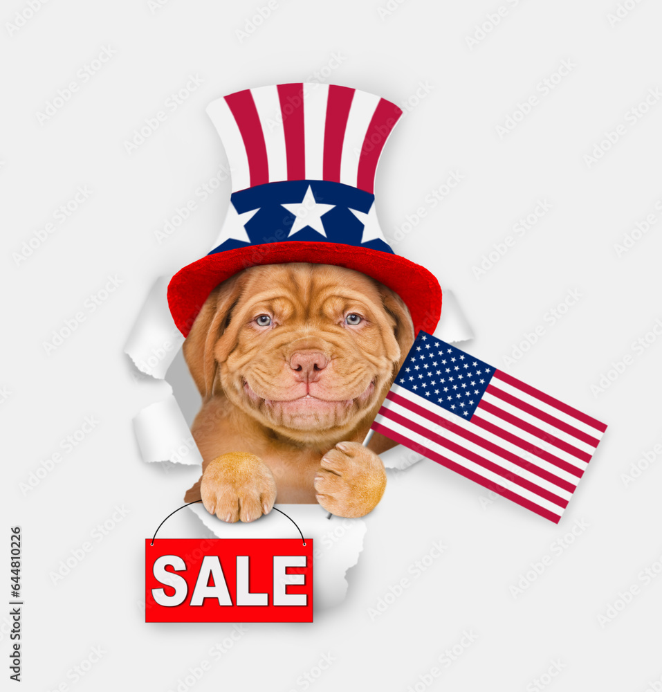 Poster happy mastiff puppy wearing like uncle sam looking through a hole in paper and shows signboard with 
