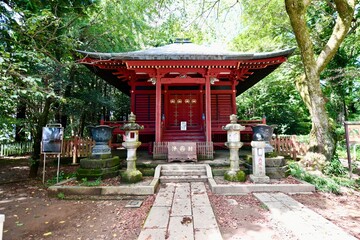 日本の高尾山の神社と森