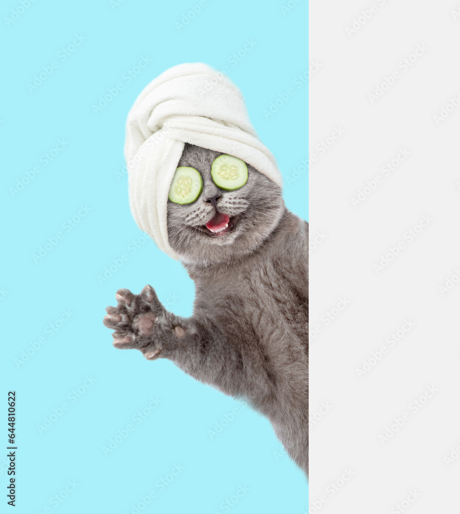 Fototapete happy cat with towel on it head and with pieces of cucumber on it eyes stands behind empty white ban