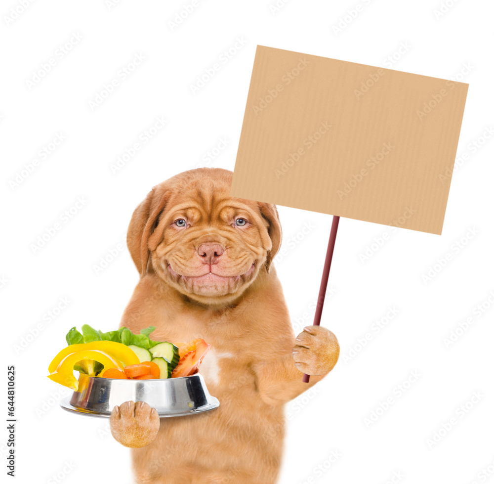 Poster smiling puppy holds bowl of vegetables and shows empty placard. isolated on white background