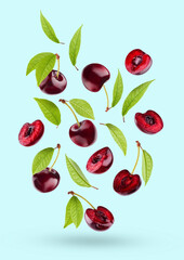 Bright red cherry with green leaves as flow fly or fall as art composition. Whole, pieces fruits on pastel pink background with shadow. Summer fruits for advertising, design, label product, poster.