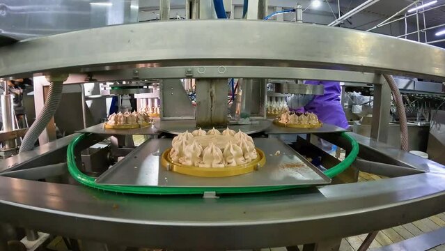 Cake on the conveyor line. Cake production. Production of cakes in a modern factory. The process of automatic creation of cakes