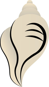 Flat Style Conch Icon Beige And Black Color.