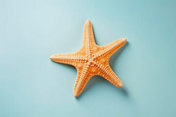 Fototapeta na wymiar Sea star shell on solid background. Ocean summer and vacation concept.