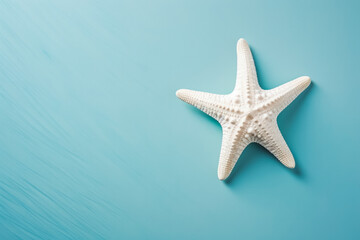 Fototapeta na wymiar White sea star shell on solid blue background. Ocean summer and vacation concept.