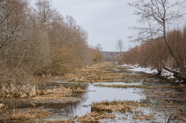 Spring landscape, all brown gray, without leaves. Early Spring