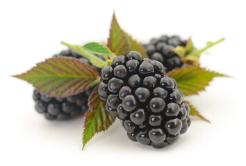 Closeup shot of fresh blackberries.