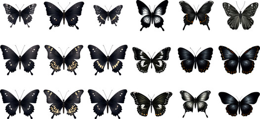 Obraz premium set of bright vector hand painted butterflies white background. Generative AI