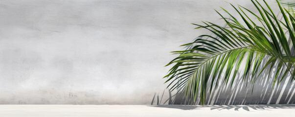 Palm Tree Leaves, Concrete Wall Background, empty space for text