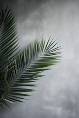 Obraz premium Palm Tree Leaves, Concrete Wall Background, empty space for text