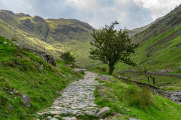 Path in the Lake District at Seathwaite, Cumbria, UK